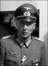 A man wearing a military uniform and peaked cap.