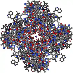 Schematic stick diagram of a tetrameric potassium channel where each of the monomeric subunits is symmetrically arranged around a central ion conduction pore. The pore axis is displayed perpendicular to the screen. Carbon, oxygen, and nitrogen atom are represented by grey, red, and blue spheres, respectively. A single potassium cation is depicted as a purple sphere in the center of the channel.