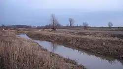 Prairie Creek Site