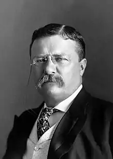 Black-and-white photographic portrait of Theodore Roosevelt