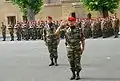 Ceremonial parade of companies of the 1st Parachute Regiment of Marine Infantry, in 2008 at Bayonne.