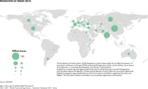 Production of wheat (2019)