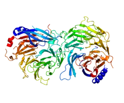 Protein RBBP4