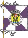 Flag of Oliveira do Hospital