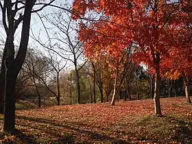 Pyeonghwa (Peace) Park in World Cup Park