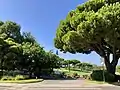 Entrance to Quinta do Lago.