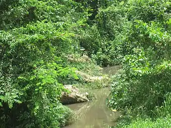 Río Indio in Morovis Norte, near the "Red bridge" El Puente Colorado which was erected in 1913