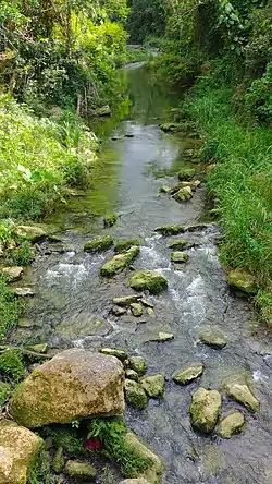 Río Indio in Quebrada Arenas barrio