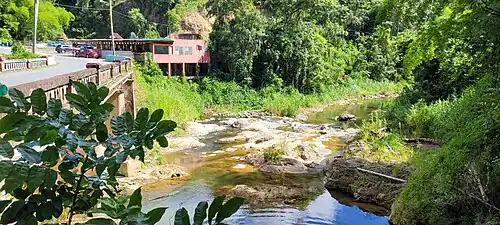 Yunes River between Frontón (Ciales) and Mameyes Abajo (Utuado) barrios