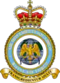 Heraldic badge of the Air Movements Squadron RAF.