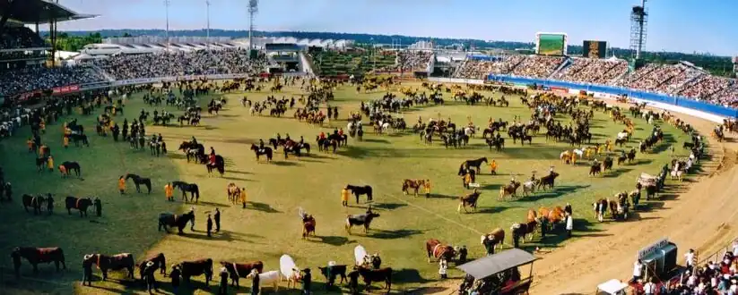 The Grand Parade at the showground at Sydney Showground Stadium