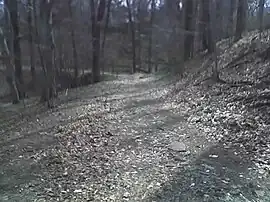 Hiking trail at Lake Roland Park