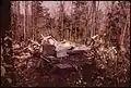 Remains of a summer cottage which collapsed under the weight of the winter's snow, 1973