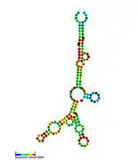 YkoK leader:  Secondary structure for the riboswitch marked up by sequence conservation. Family RF00380.