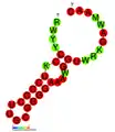 CRISPR-DR57: Secondary structure taken from the Rfam database. Family RF01370.