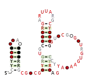 RAGATH-16 Secondary structure taken from the Rfam database. Family RF03047