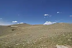 Beatrice Willard Alpine Tundra Research Plots