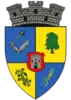 Coat of arms of Ardud