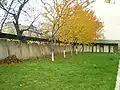 Churchyard headstones