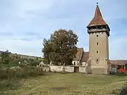 Fortified church in Ormeniș