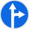 Straight ahead or right turn permitted