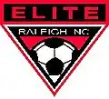 2006 Raleigh Elite logo