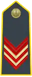 Senior appointee specialist (Appuntato scelto qualifica speciale) (Corporal first class)same insignia as Senior Appointee with star above chevron