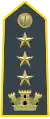 Colonel; some provincial commanders have this rank.