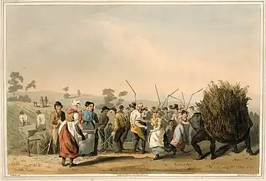 Plate 15, Rape threshing