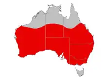 A map of Australia, showing the range of the red-capped robin – most of southern Australia except Tasmania is marked in red.