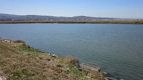 Northwest view across the marsh