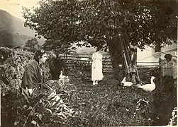 Black and white photo showing four women in a garden with a large tree and a few geese.