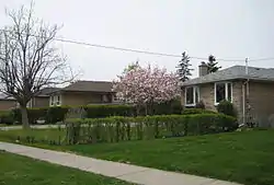 Residences in Rexdale