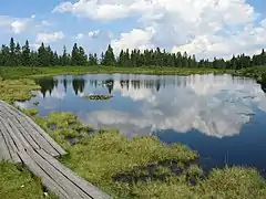 Lake Ribnica on the Pohorje hills