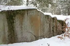 A picture stone on the vertical cliff near Riksby's old burial field.