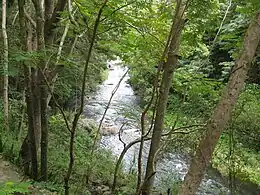 Río Cerrillos, as it passes near the Luis A. Wito Morales Park