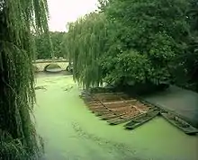 The River Cam as it flows past the back of Trinity, Trinity Bridge is visible and the punt house is to the right of the moored punts.