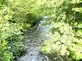 River Leven running through the park