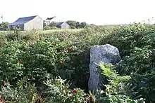 Fig. d30: the cross at Leswidden