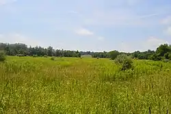 Rocky Fork Park Site