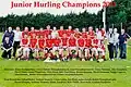 Roscommon Junior Hurling League Winners 2010