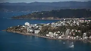 Roseneath's peninsula, Oriental Bay at its foot