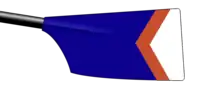 Image showing the rowing club's blade colours