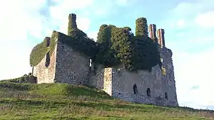 Ruins of Carbury Castle