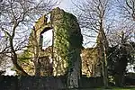 trees and stone walls of a ruined house