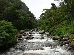 View of the Rio Caldera from a homemade bridge near Volcan Baru National Park, Boquete