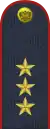 Lieutenant General