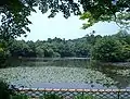 Kyoyochi Pond, created in the 12th century as a water garden