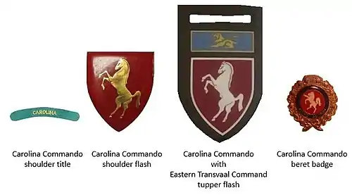 SADF era Carolina Commando insignia