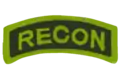 Reconnaissance (RECON) Tab